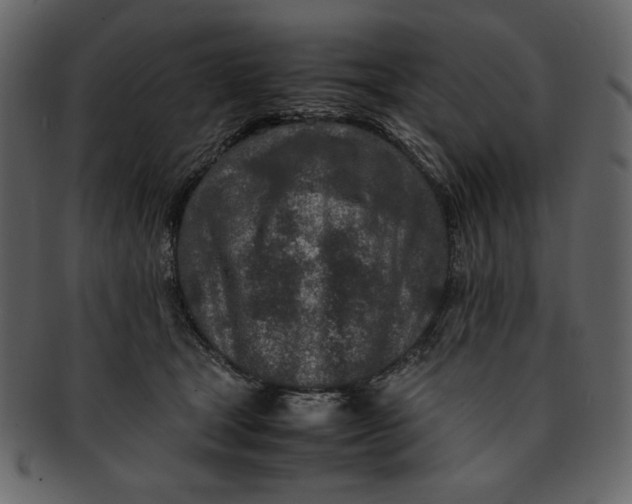 X0000093230465200710171422