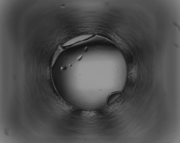 X0000093230469200710171422