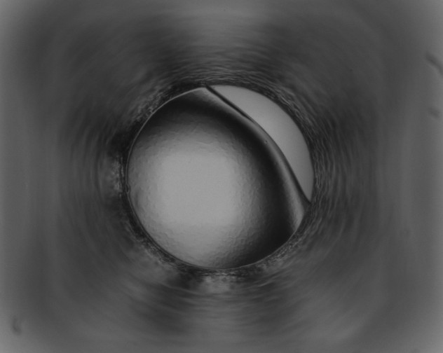 X0000093230470200710171422