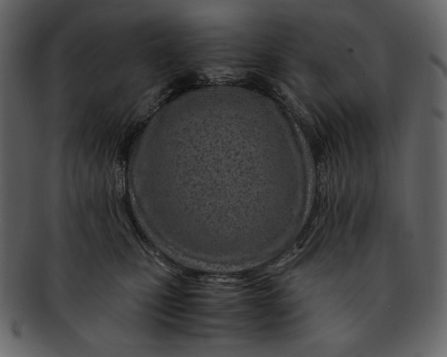 X0000093230471200710171422