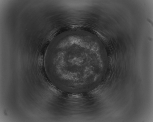 X0000093230475200710171422