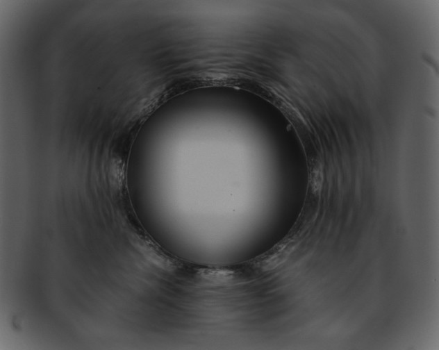 X0000093230476200710171422