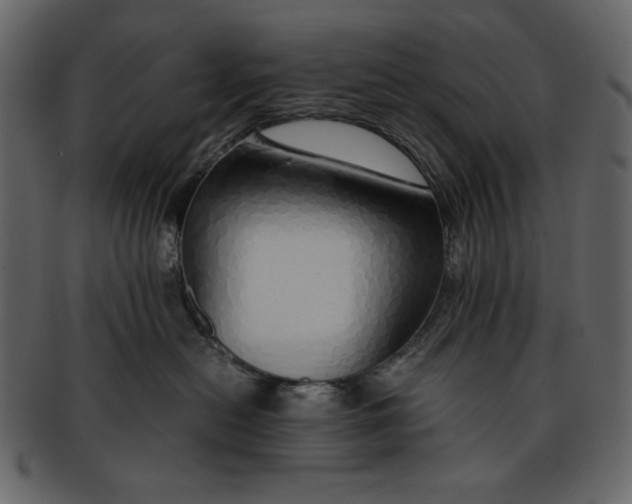 X0000093230478200710171422