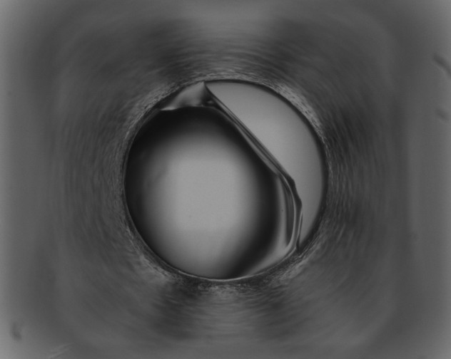 X0000093230481200710171422