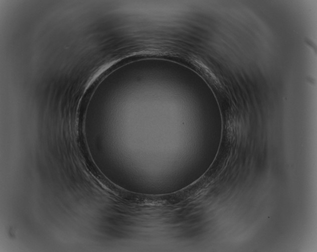 X0000093230484200710171422