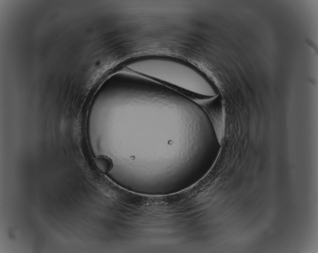 X0000093230487200710171422