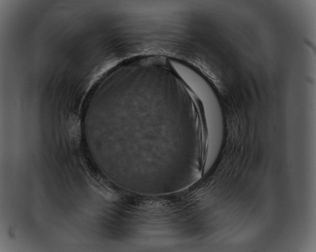 X0000093230488200710171422