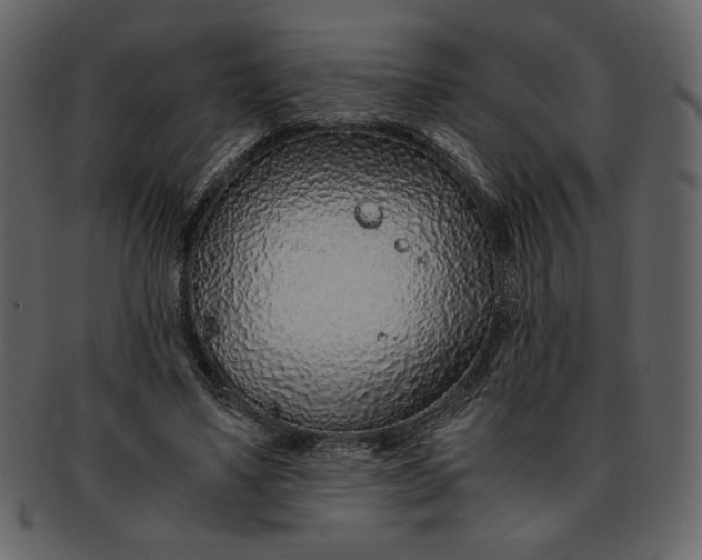 X0000093230491200710171422