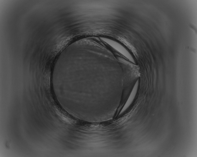 X0000093230493200710171422