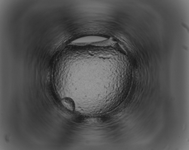 X0000093230499200710171422