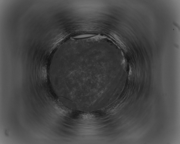 X0000093230500200710171422