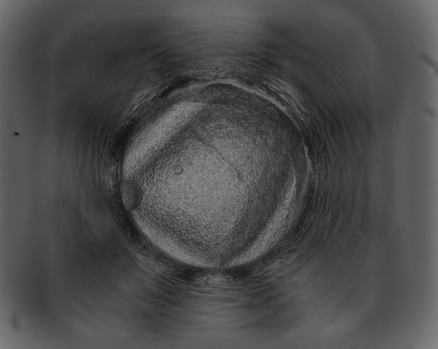 X0000093230503200710171421