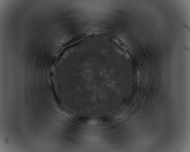 X0000093230504200710171421