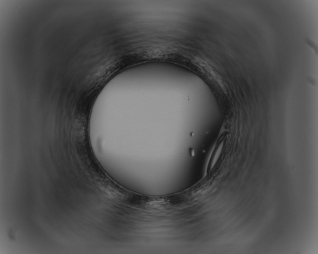 X0000093230505200710171421