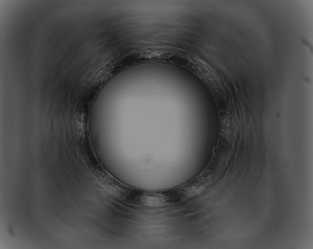 X0000093230510200710171421