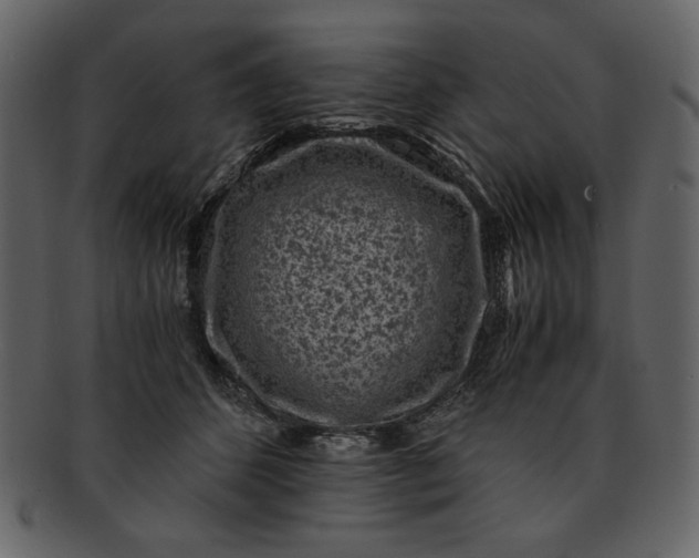 X0000093230512200710171421