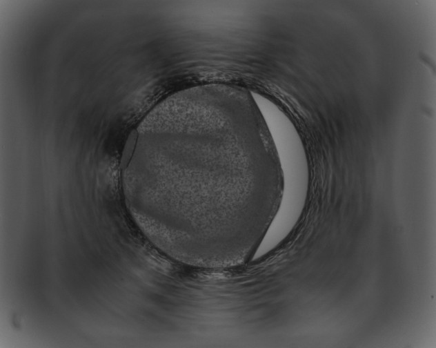 X0000093230513200710171421