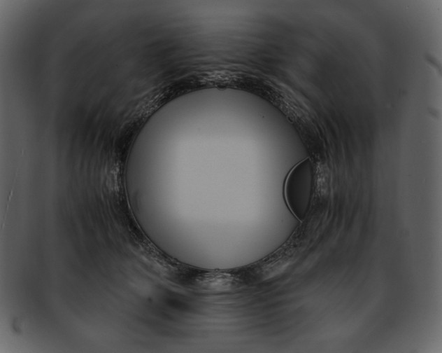 X0000093230514200710171421