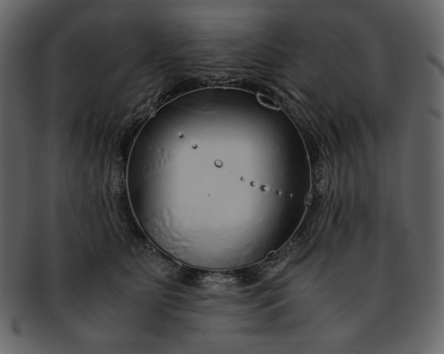 X0000093230515200710171421