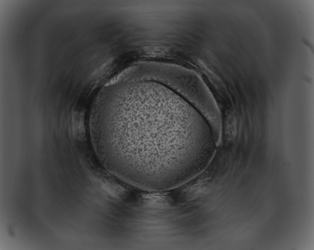 X0000093230516200710171421