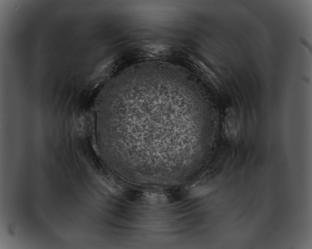 X0000093230520200710171421