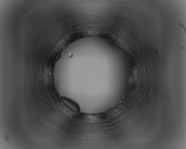 X0000093230522200710171421