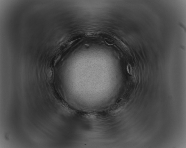 X0000093230523200710171421