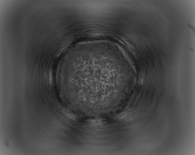 X0000093230524200710171421