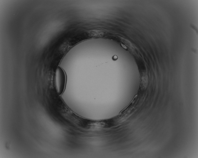 X0000093230525200710171421