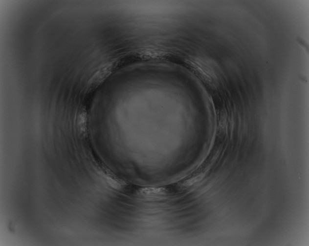 X0000093230526200710171421