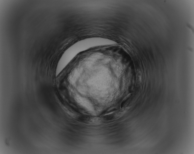 X0000093230527200710171421