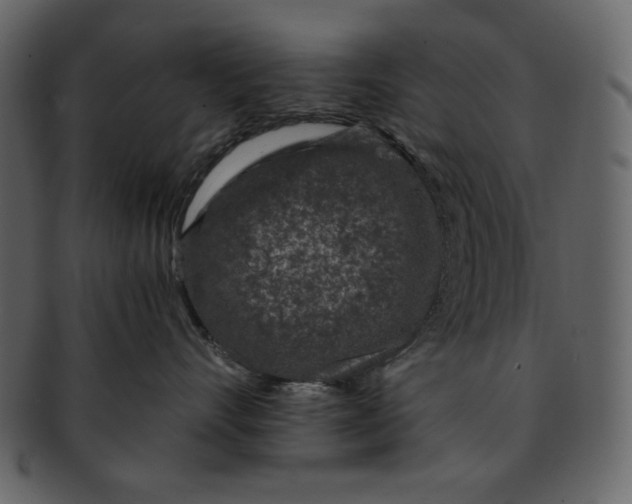 X0000093230528200710171421