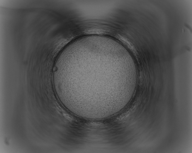 X0000093230529200710171420