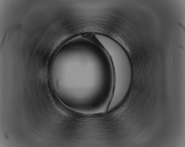 X0000093230530200710171421