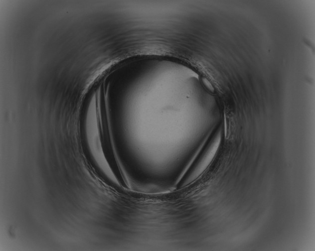 X0000093230531200710171421