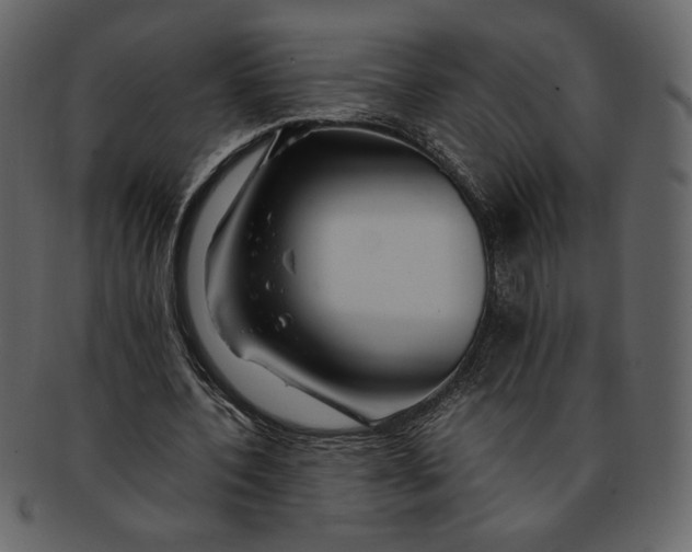 X0000093230532200710171421