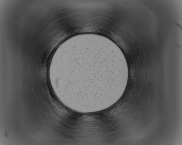 X0000093230534200710171421