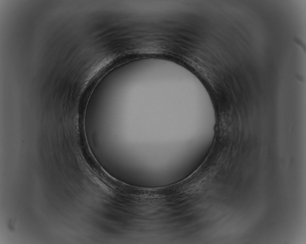 X0000093230535200710171421