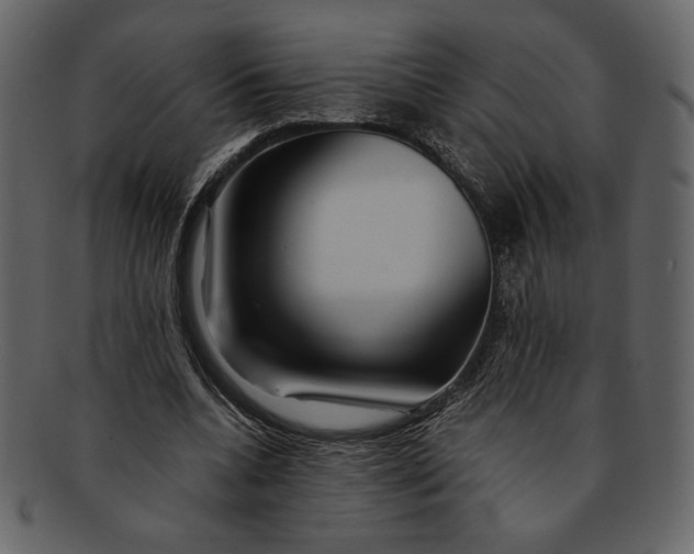 X0000093230536200710171421