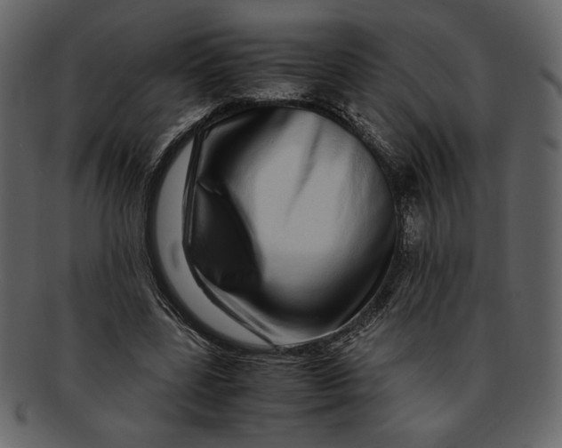 X0000093230539200710171421