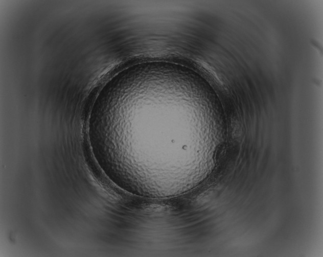 X0000093230542200710171421