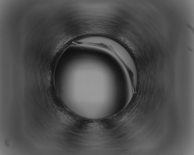 X0000093230544200710171421