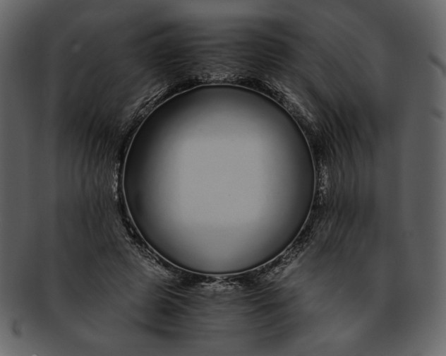 X0000093230545200710171421