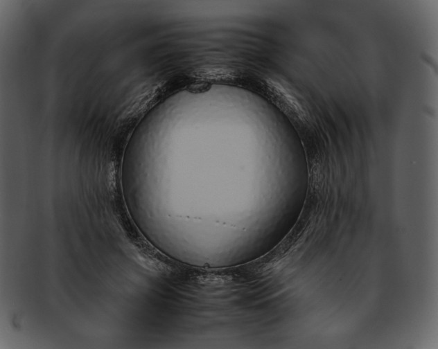 X0000093230549200710171421