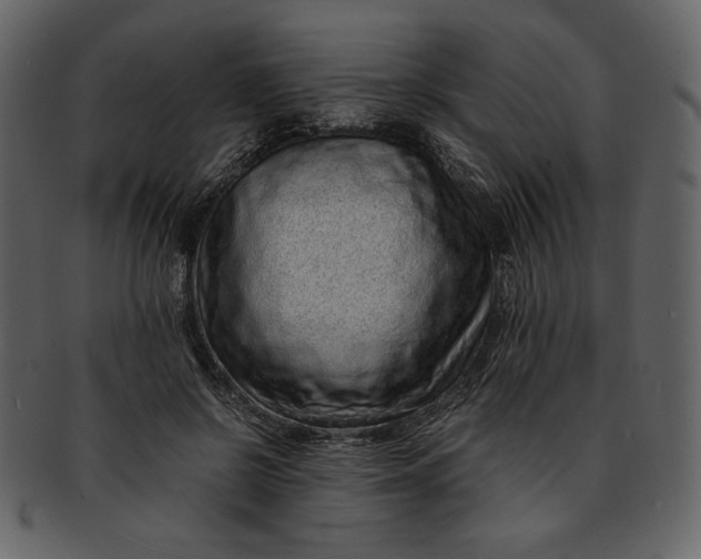 X0000093230550200710171421