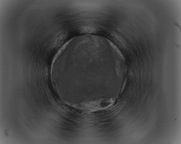 X0000093230551200710171421