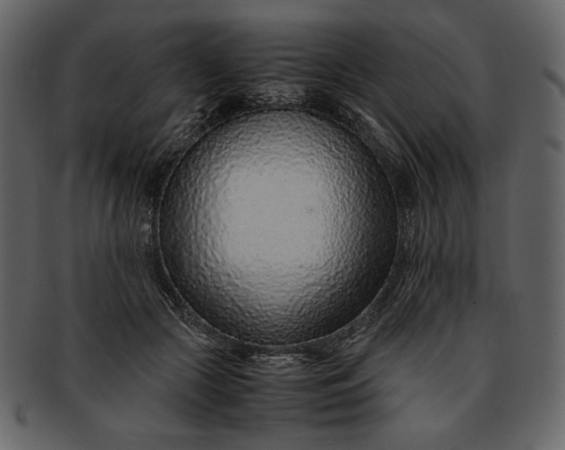 X0000093230553200710171421