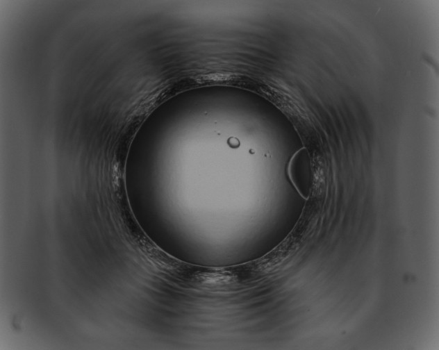 X0000093230555200710171421