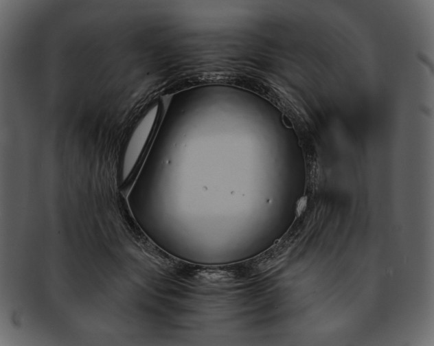 X0000093230557200710171421