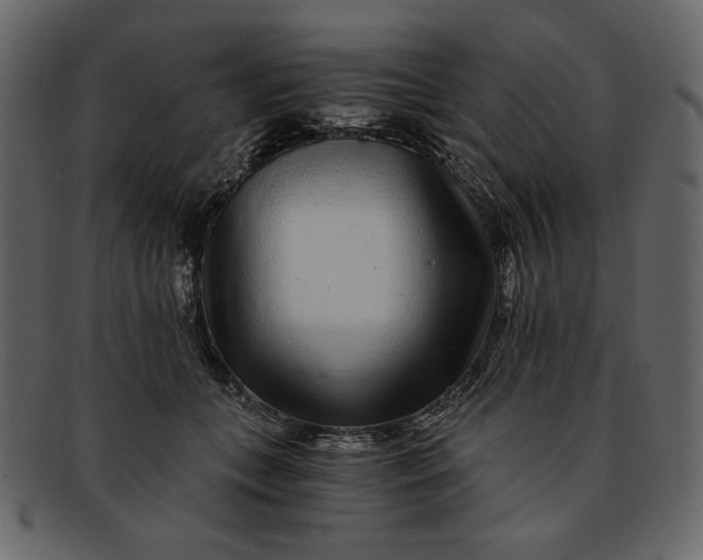 X0000093230559200710171421